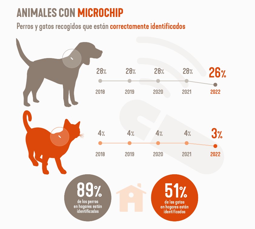 abandono animales españa